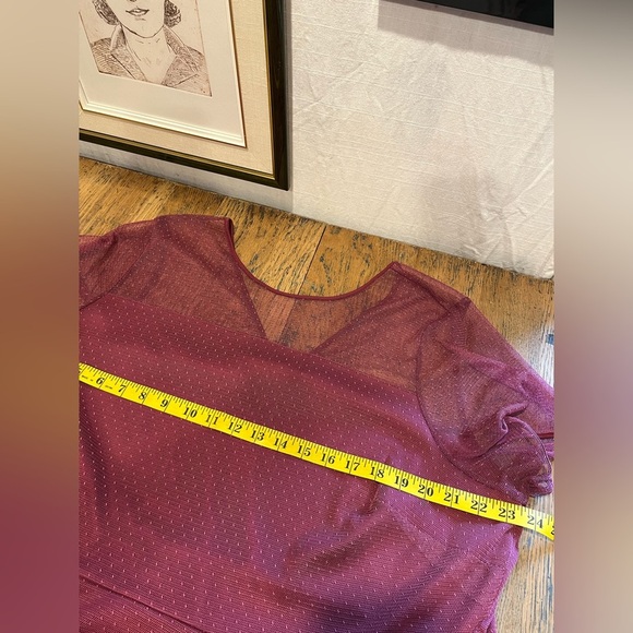 IN EVERY STORY - Sheer Dot Mesh Dress - Size 2X - Picture 9 of 9